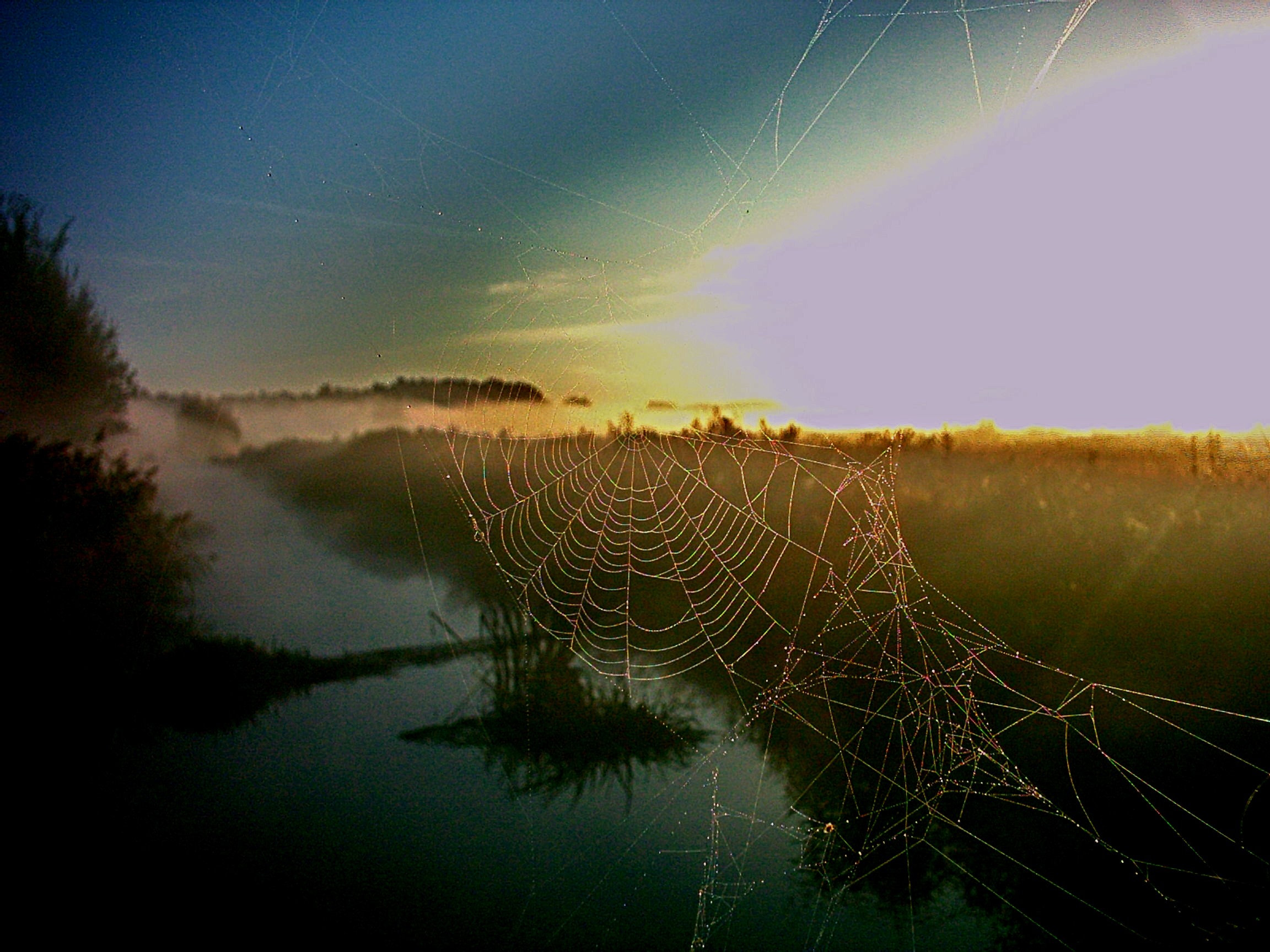 Morgendämmerung